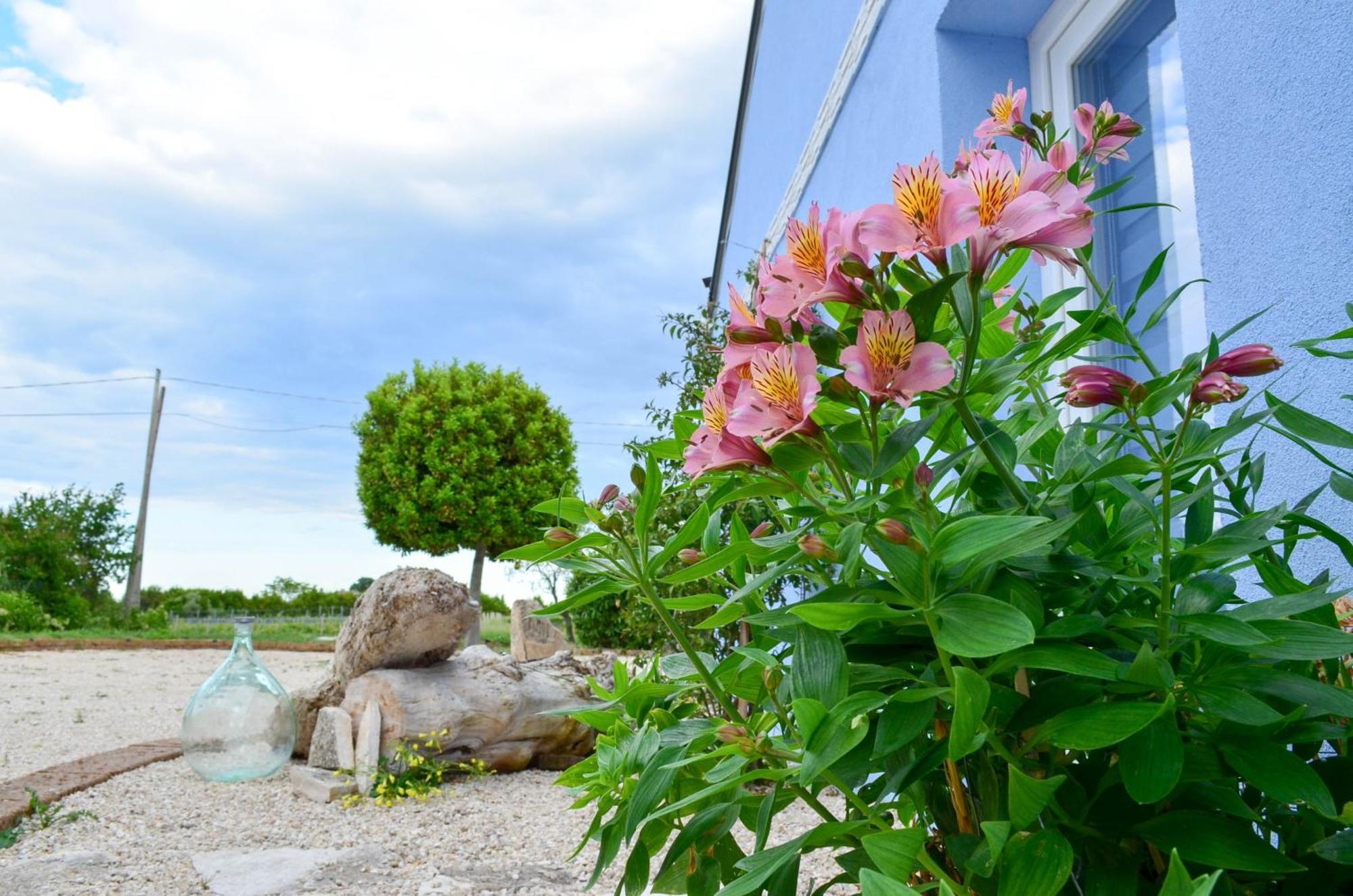 Bed & Breakfast Borgo Sabelli - Costa Dei Trabocchi